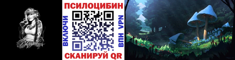 Псилоцибиновые грибы Psilocybe Таштагол
