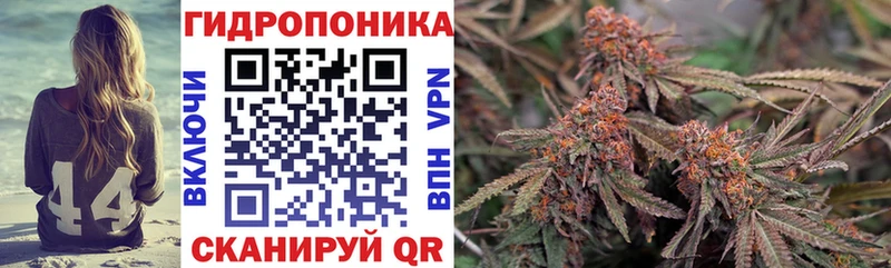 Бошки марихуана Amnesia  Таштагол 